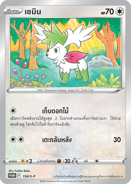 เชมิน