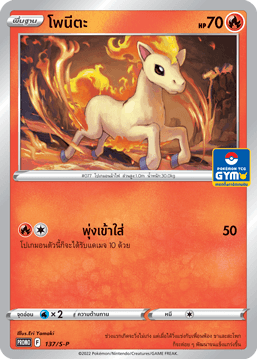 โพนีตะ