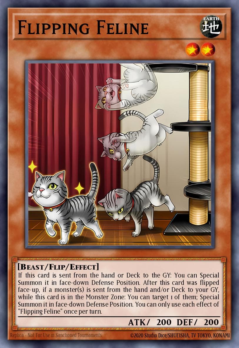 Flipping Feline