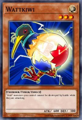 Wattkiwi
