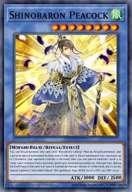 Shinobaron Peacock