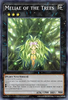 Meliae of the Trees
