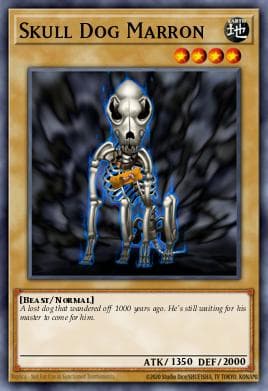 Skull Dog Marron