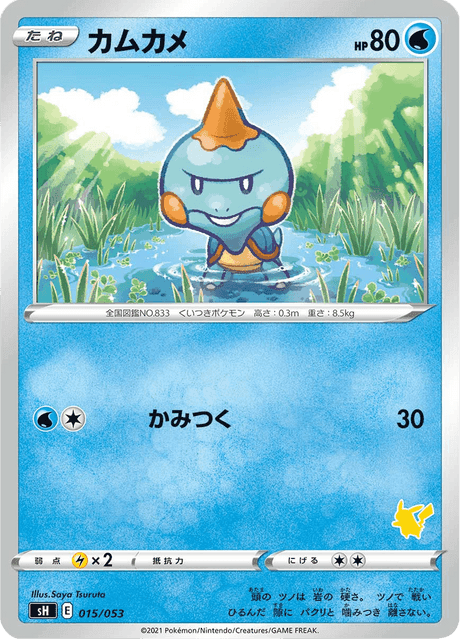 カムカメ