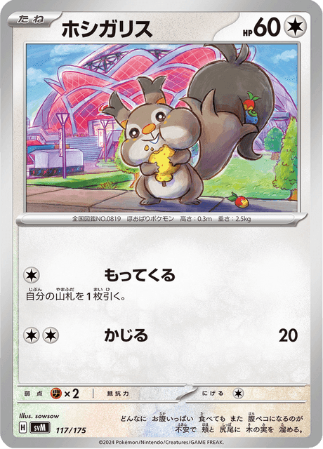 ホシガリス