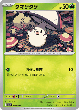 タマゲタケ