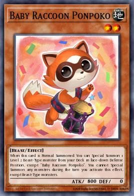 Baby Raccoon Ponpoko