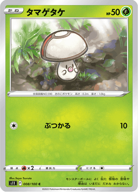 タマゲタケ