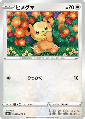 ヒメグマ